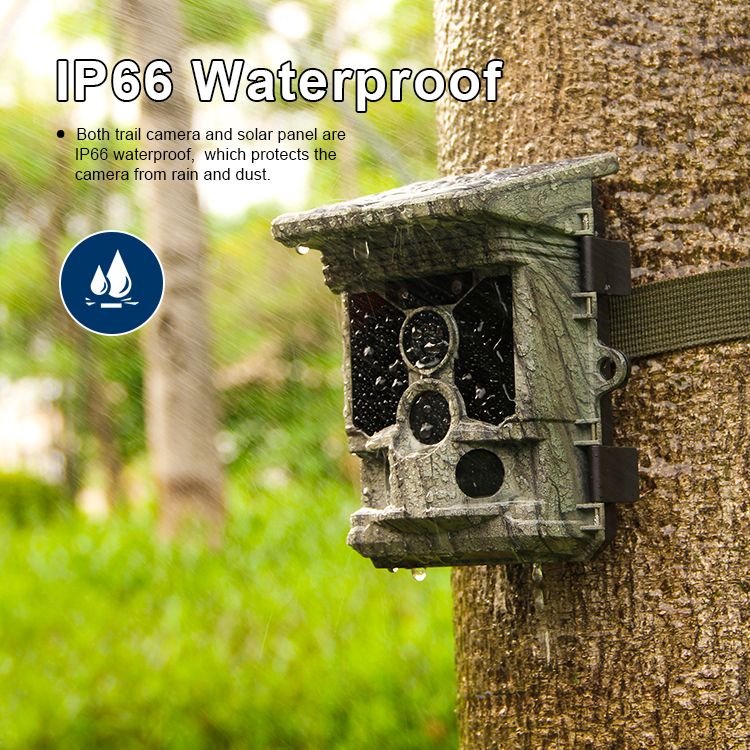 High Quality Support APP 4K WIFI Solar Powered MinMax Outdoors product detail image 4
