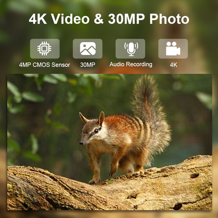 High Quality Support APP 4K WIFI Solar Powered MinMax Outdoors product detail image 8