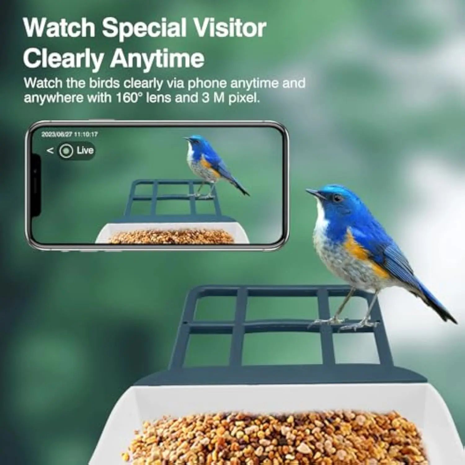 Intelligent Automatic Outdoor Bird Feeder with Camera product detail 2