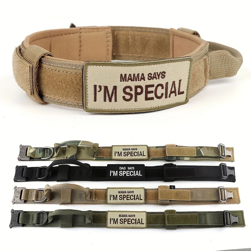 Large Dog Rower Collar Leash Set Luxury Polyester product detail 3