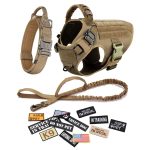 Large Dog Rower Collar Leash Set Luxury Polyester gallery 04