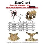 Large Dog Rower Collar Leash Set Luxury Polyester gallery 05