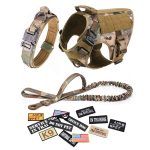 Large Dog Rower Collar Leash Set Luxury Polyester main