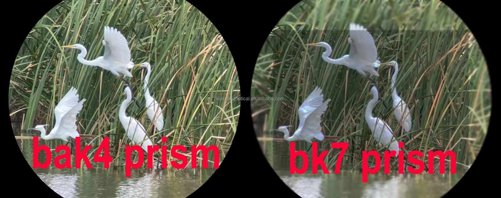 Lightweight 8x26mm Kids Outdoor Explorer Binoculars product detail 8