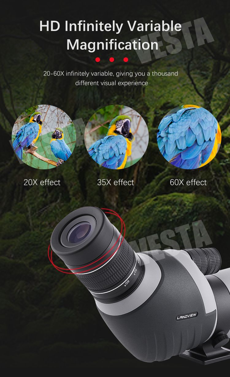 LW5002 Outdoor Spotting Scope 20-60x80 Telescope for Bird product detail 4
