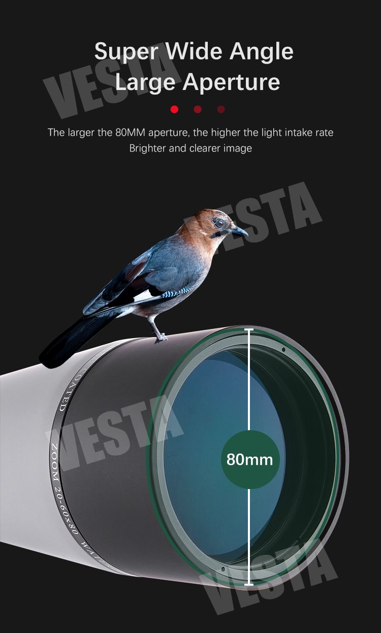 LW5002 Outdoor Spotting Scope 20-60x80 Telescope for Bird product detail 5