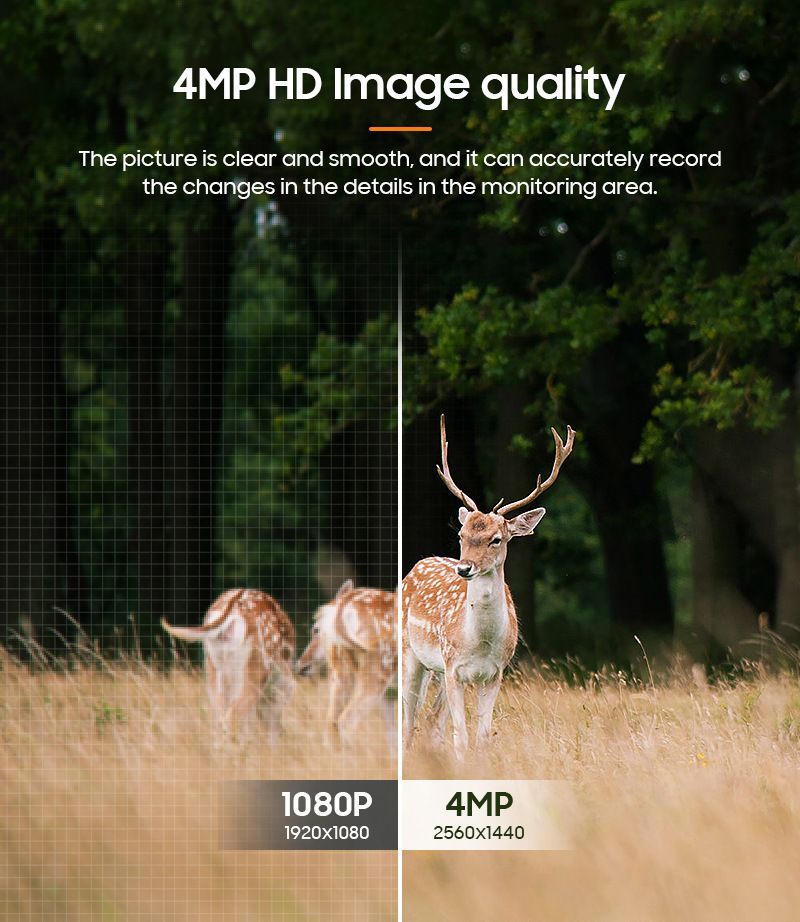 Maple Camouflage 4G Solar Wildlife Trail Cam IP66 MinMax Outdoors product detail image 3