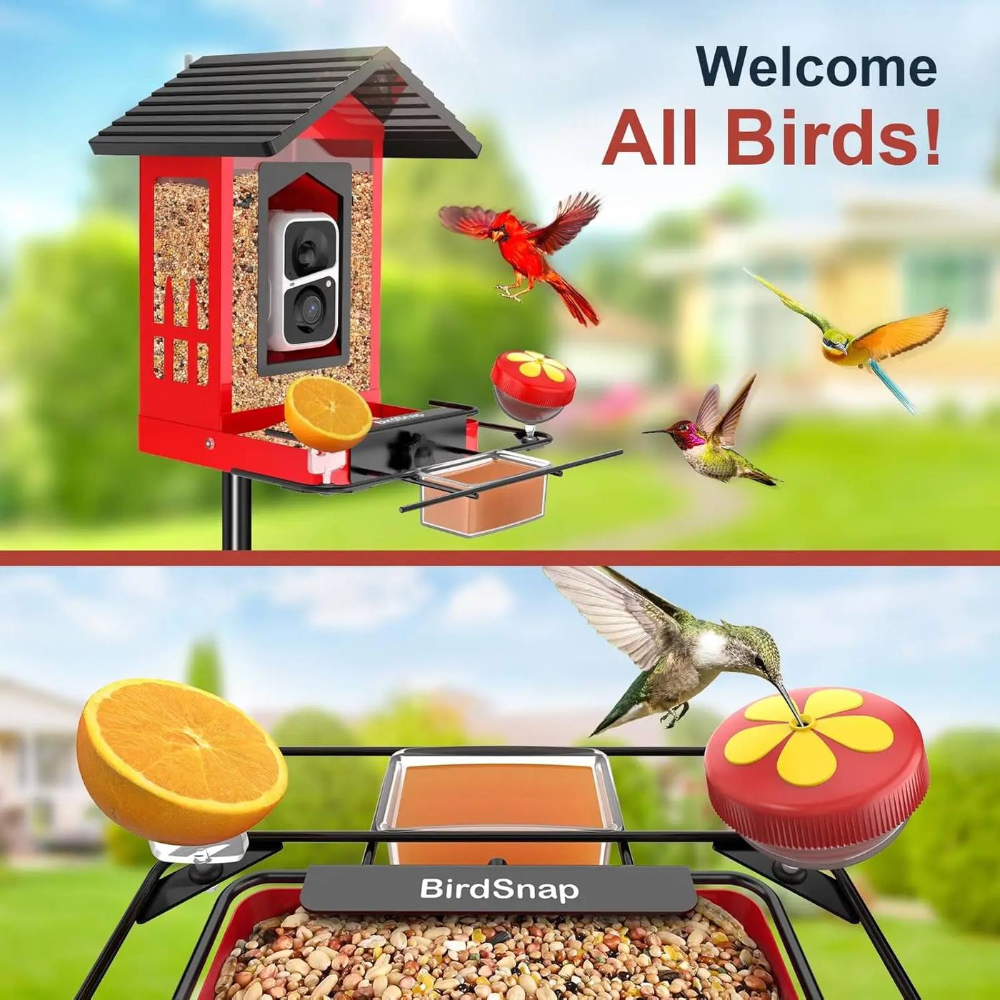 Metal Bird Feeder with Camera Solar Panel 32GB product detail 2