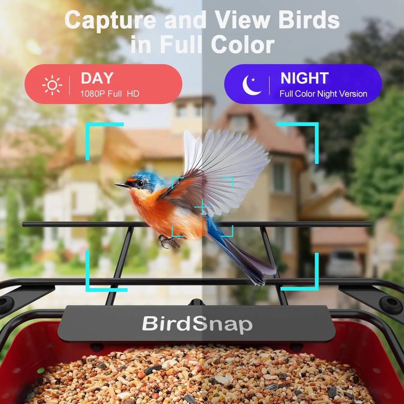 Metal Bird Feeder with Camera Solar Panel 32GB product detail 4