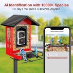 Metal Bird Feeder with Camera Solar Panel 32GB gallery 03
