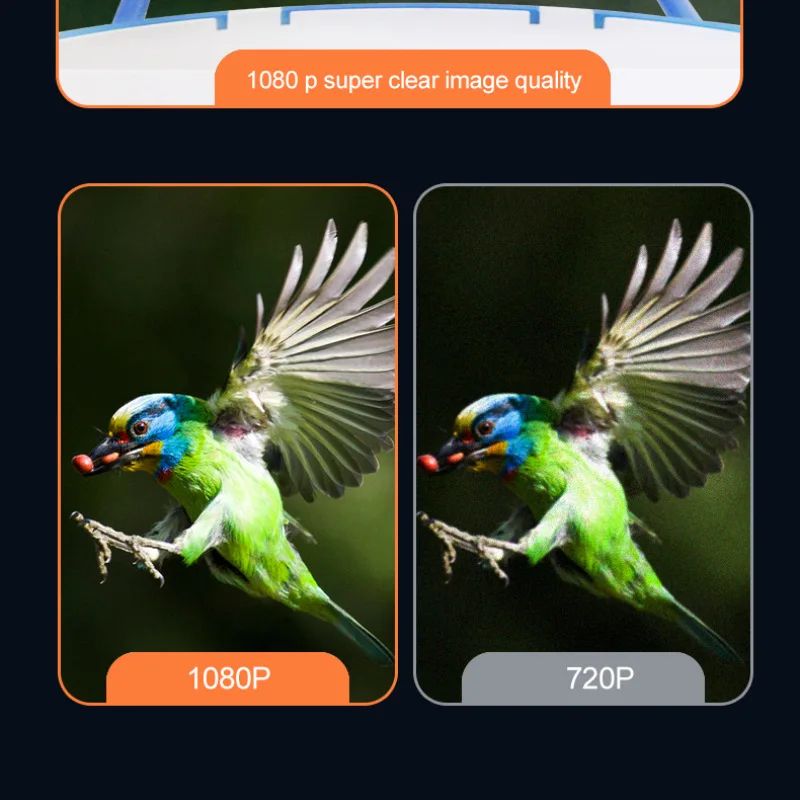 Mini Smart Eco-friendly Bird Watching Camera 1080p HD product detail 6