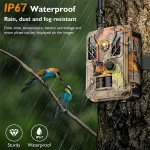 MinMax Outdoors hd 4g trail camera with night vision product gallery image