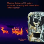 MinMax Outdoors hd trail camera with night vision product gallery image