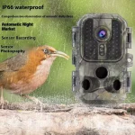 MinMax Outdoors hd trail camera with night vision product gallery image