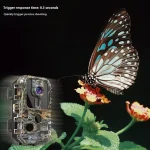 MinMax Outdoors hd trail camera with night vision product gallery image