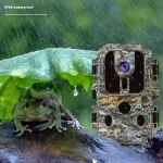 MinMax Outdoors hd trail camera with night vision product gallery image