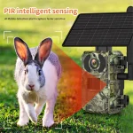 MinMax Outdoors 4mp solar 4g trail camera with night vision product gallery image
