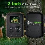 MinMax Outdoors 8k solar wifi trail camera with night vision product gallery image