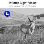MinMax Outdoors hd 4g trail camera with night vision product gallery image
