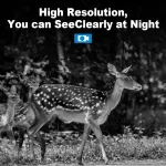 MinMax Outdoors hd trail camera with night vision product gallery image