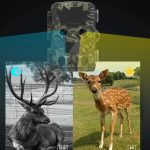 MinMax Outdoors 4k trail camera with night vision product gallery image