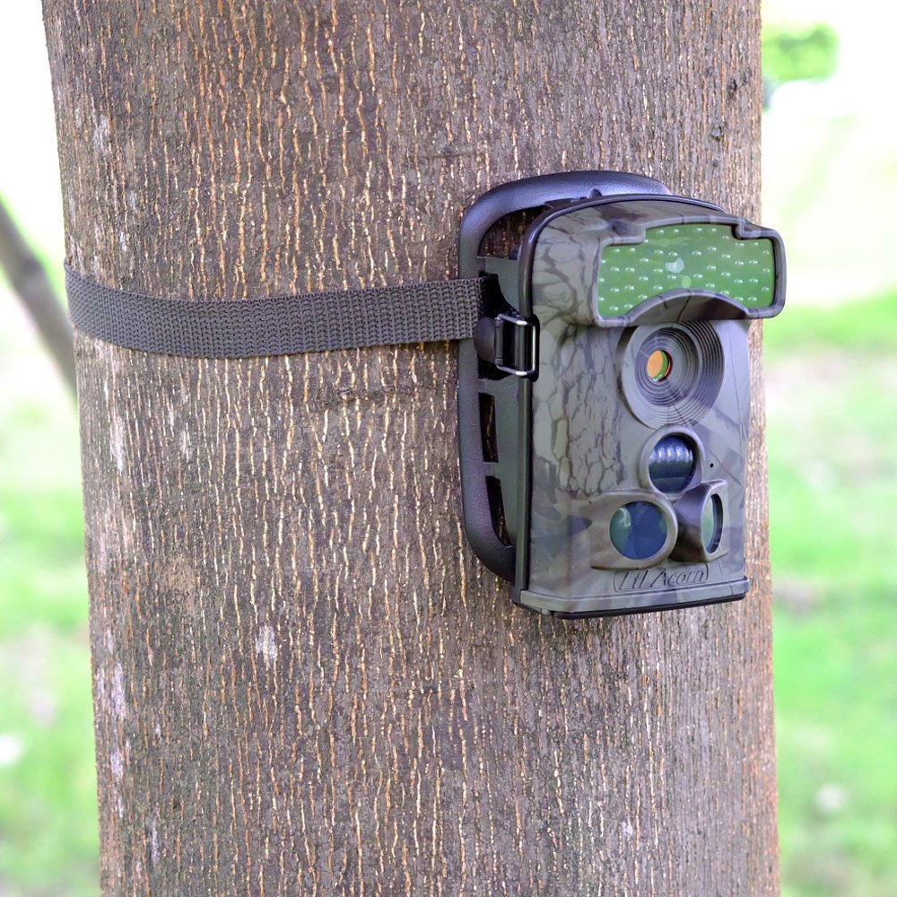 MinMax Outdoors 12MP Trail Camera detail image 7