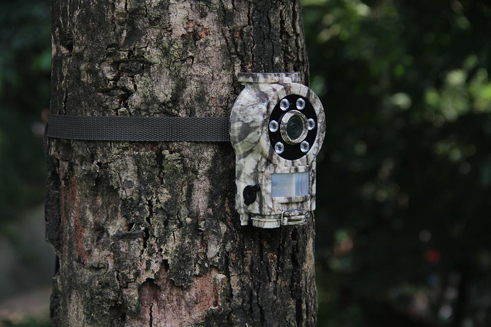 MinMax Outdoors MINI 30 Trail Camera detail image 6