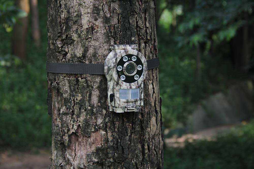 MinMax Outdoors MINI 30 Trail Camera detail image 7