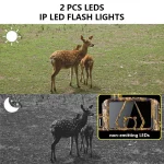 MinMax Outdoors 8k 4g trail camera with night vision product gallery image