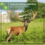 MinMax Outdoors 60mp 4g trail camera with night vision product gallery image