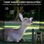 MinMax Outdoors 60mp 4g trail camera with night vision product gallery image