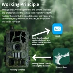 MinMax Outdoors 30mp 4g trail camera with night vision product gallery image