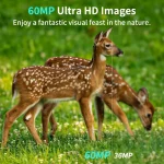 MinMax Outdoors 5k trail camera with night vision product gallery image