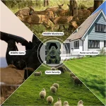 MinMax Outdoors 5k trail camera with night vision product gallery image