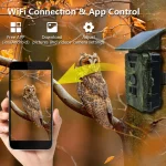 MinMax Outdoors 8k solar wifi trail camera with night vision product gallery image