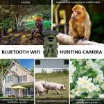 MinMax Outdoors 8k solar wifi trail camera with night vision product gallery image