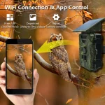 MinMax Outdoors 8k solar wifi trail camera with night vision product gallery image