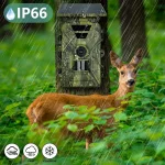 MinMax Outdoors 8k solar wifi trail camera with night vision product gallery image