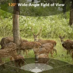 MinMax Outdoors 8k solar wifi trail camera with night vision product gallery image