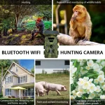 MinMax Outdoors 8k solar wifi trail camera with night vision product gallery image