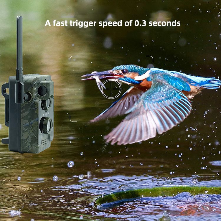 New Arrival 4MP Outdoor Waterproof Solar Panel Monitoring MinMax Outdoors product detail image 6