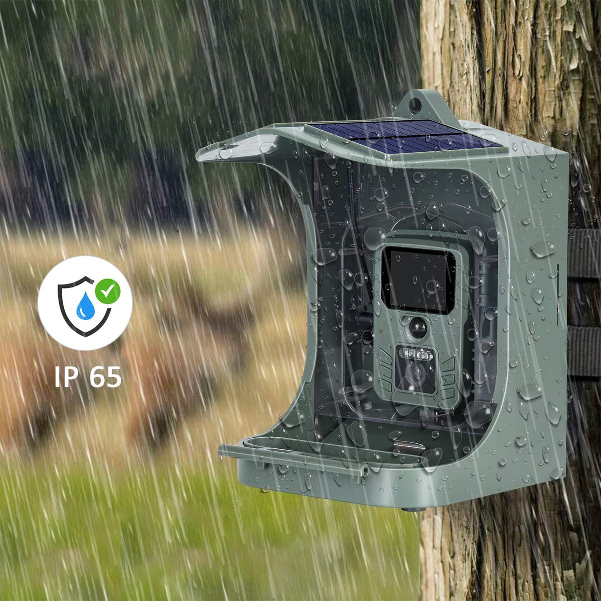 New Bird Feeder Camera with Solar Panel Built-in product detail 4