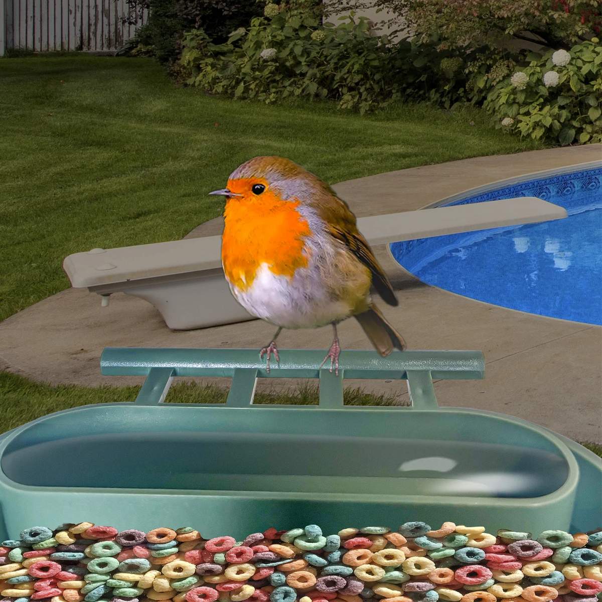 New Bird Feeder Camera with Solar Panel Built-in product detail 5