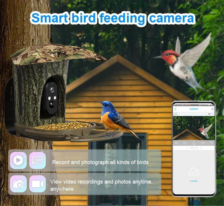 New Design 2MP 1080P Solar Bird Feeding Camera product detail 1