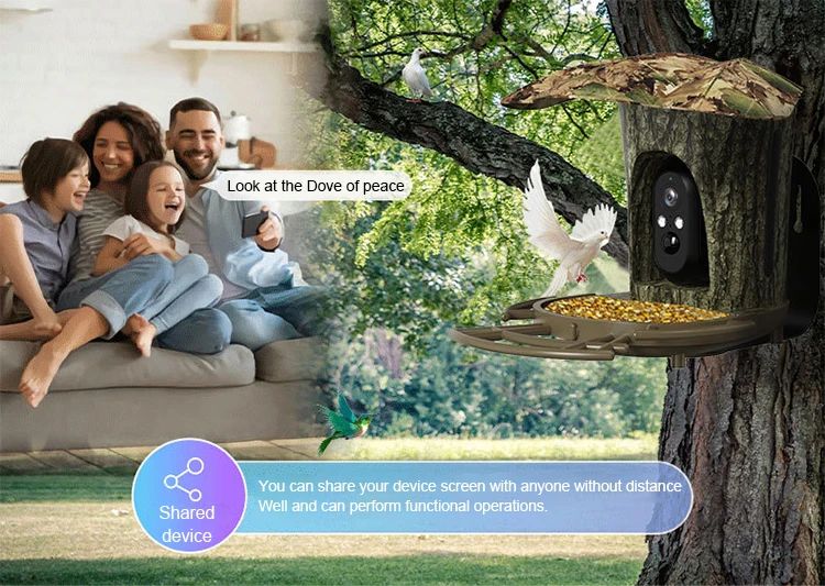 New Design 2MP 1080P Solar Bird Feeding Camera product detail 3