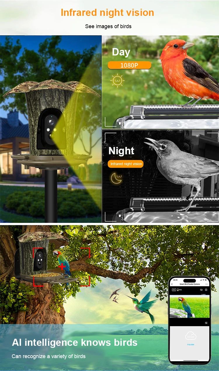 New Design 2MP 1080P Solar Bird Feeding Camera product detail 4