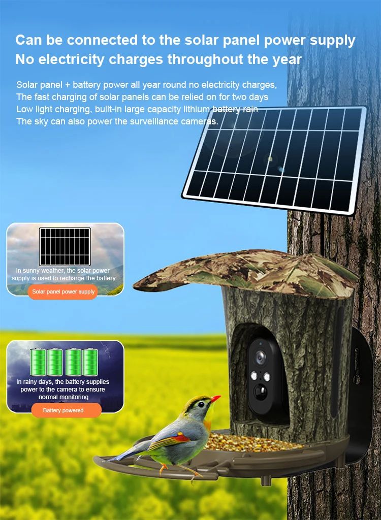 New Design 2MP 1080P Solar Bird Feeding Camera product detail 5