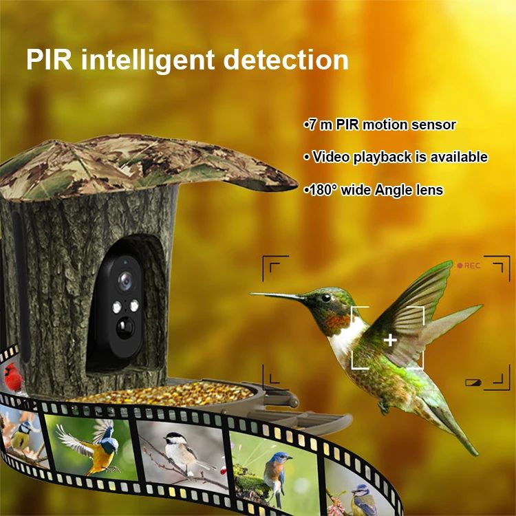 New Design 2MP 1080P Solar Bird Feeding Camera product detail 6