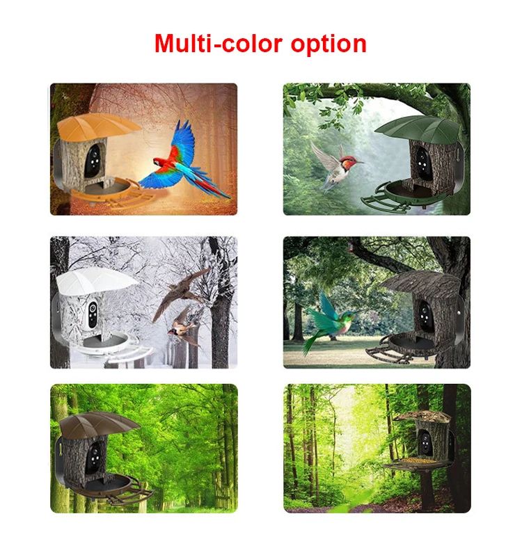 New Design 2MP 1080P Solar Bird Feeding Camera product detail 8