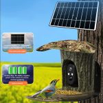 New Design 2MP 1080P Solar Bird Feeding Camera gallery 02
